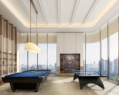 Entertainment Room